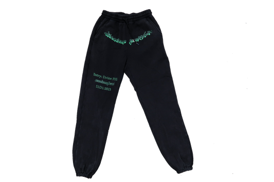 CELESTIAL Acid Wash Green Pants